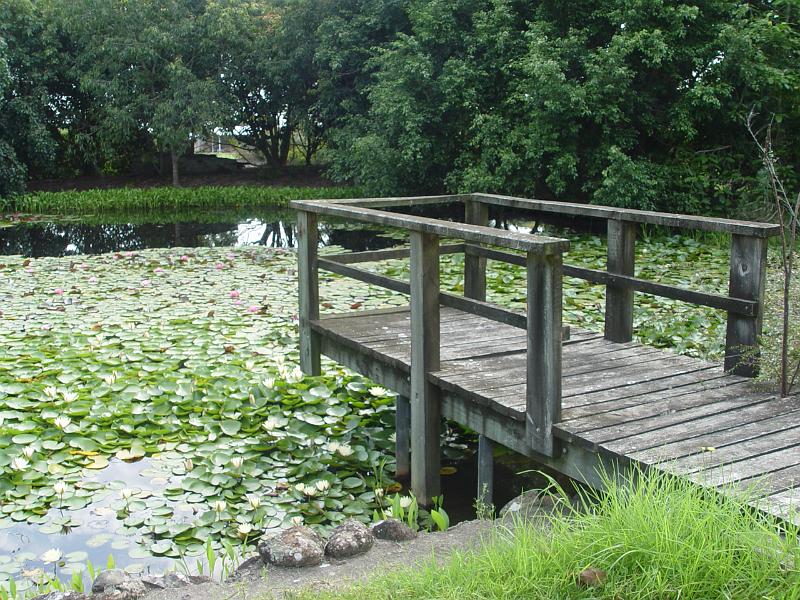 booroowhangary-nov09 046.jpg